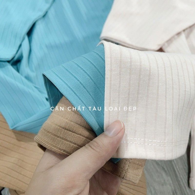 Áo thun tăm cổ nơ chữ V trễ vai dài tay PL