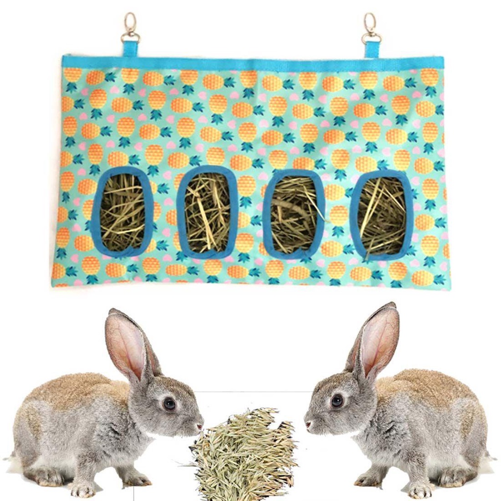 Túi Đựng Thức Ăn Cho Thỏ / Heo Guinea / Totoro / Heo Con LAYOR1 Hay