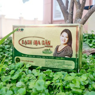 Bạch địa căn HOSE (xanh)