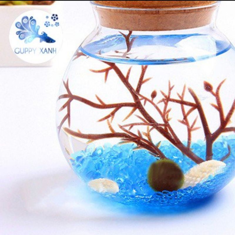 Mô hình trang trí bể cá, hồ thủy sinh Totoro, san hô, cây lũa