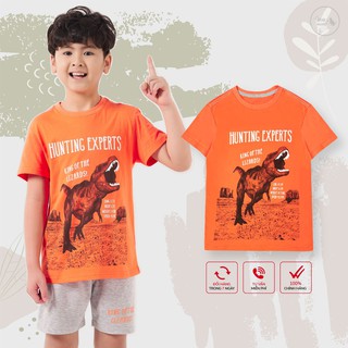 Áo Cộc Tay Bé Trai, Áo Phông Trẻ Em Cam Khủng Long 2-11, Chất Cotton Xuất Khẩu