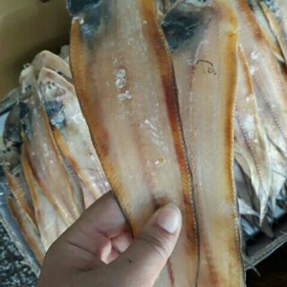 Khô cá lưỡi trâu hàng loại nhất