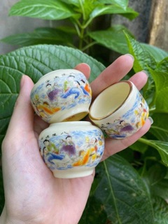 Cóng sứ mào loại đẹp