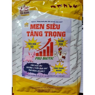 MEN SIÊU TĂNG TRỌNG 1KG