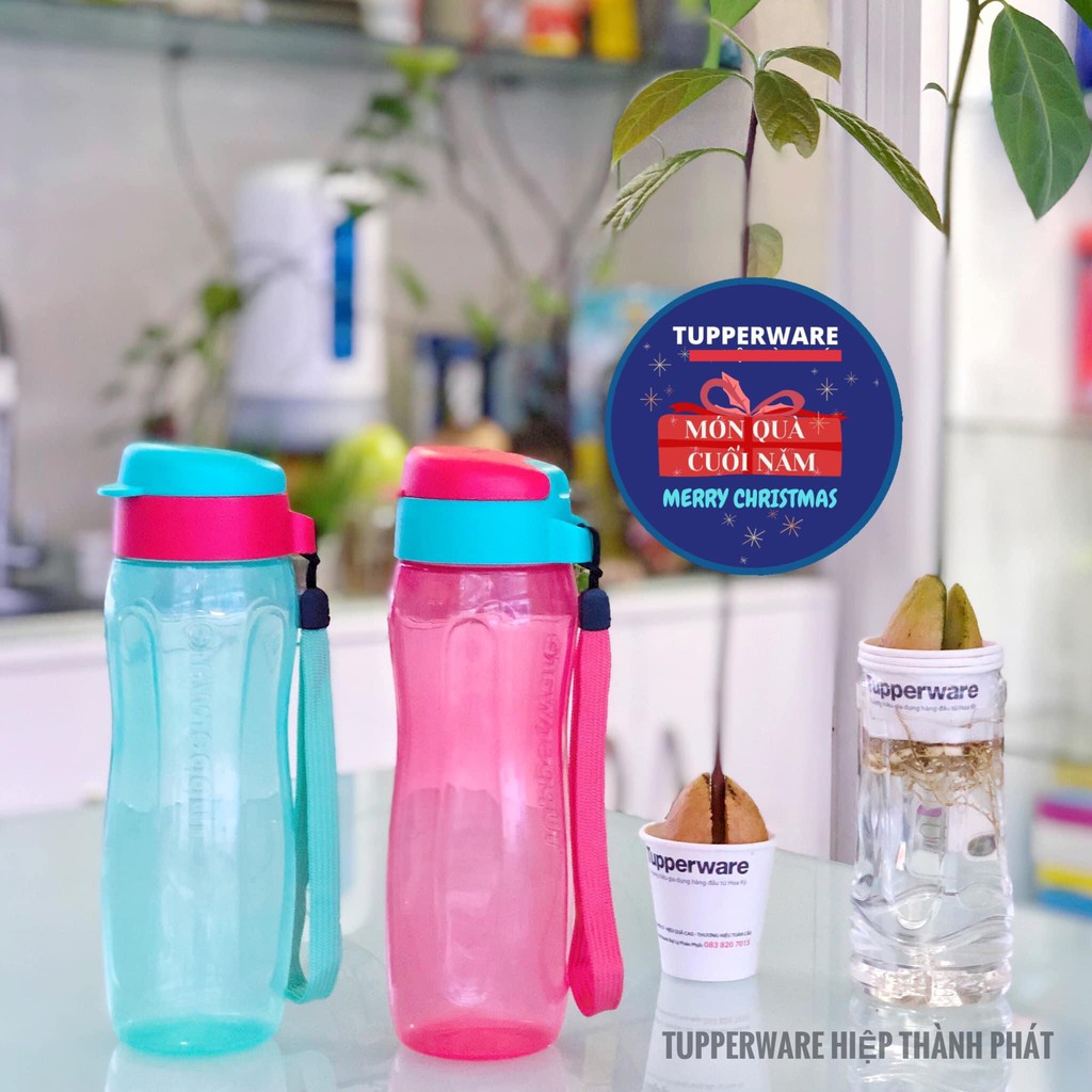 Bình nước Eco Bottle Gen II 500ml Tupperware (Tặng hộp Small Square)