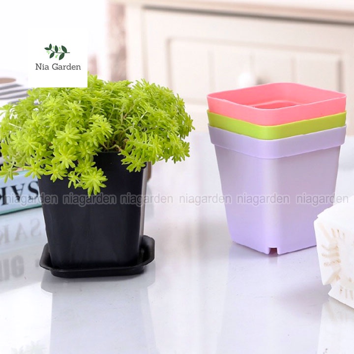 Chậu nhựa trồng cây sen đá xương rồng cây để bàn mini vuông màu pastel Nia Garden N8