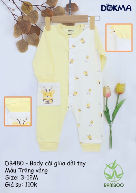 Body sợi tre mẫu mới