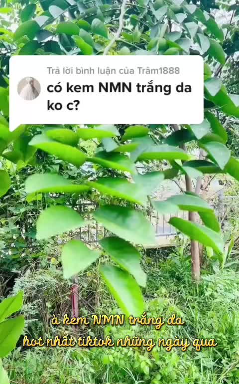 Kem Dưỡng Trắng Da NMN Nhật Bản Chống Lão Hoá White All In One Gel 245g Saikou | BigBuy360 - bigbuy360.vn