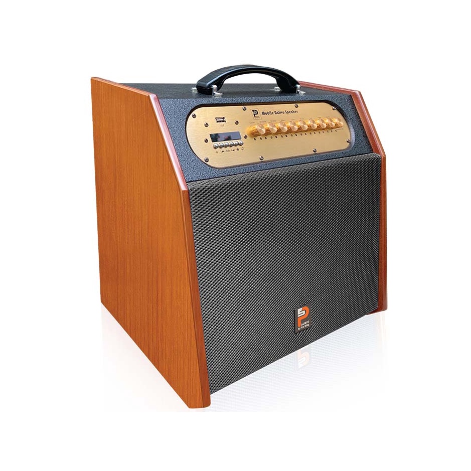 Loa di động karaoke xách tay Prosing W8 Rapper