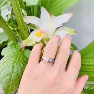Nhẫn trai freesize Hàng Si Nhật 2v