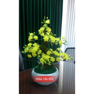 Combo nguyên liệu làm hoa mai, hoa đào (GMN)