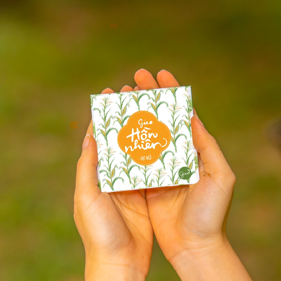 Phong bao Gieo Hồn nhiên - Hạt ngô