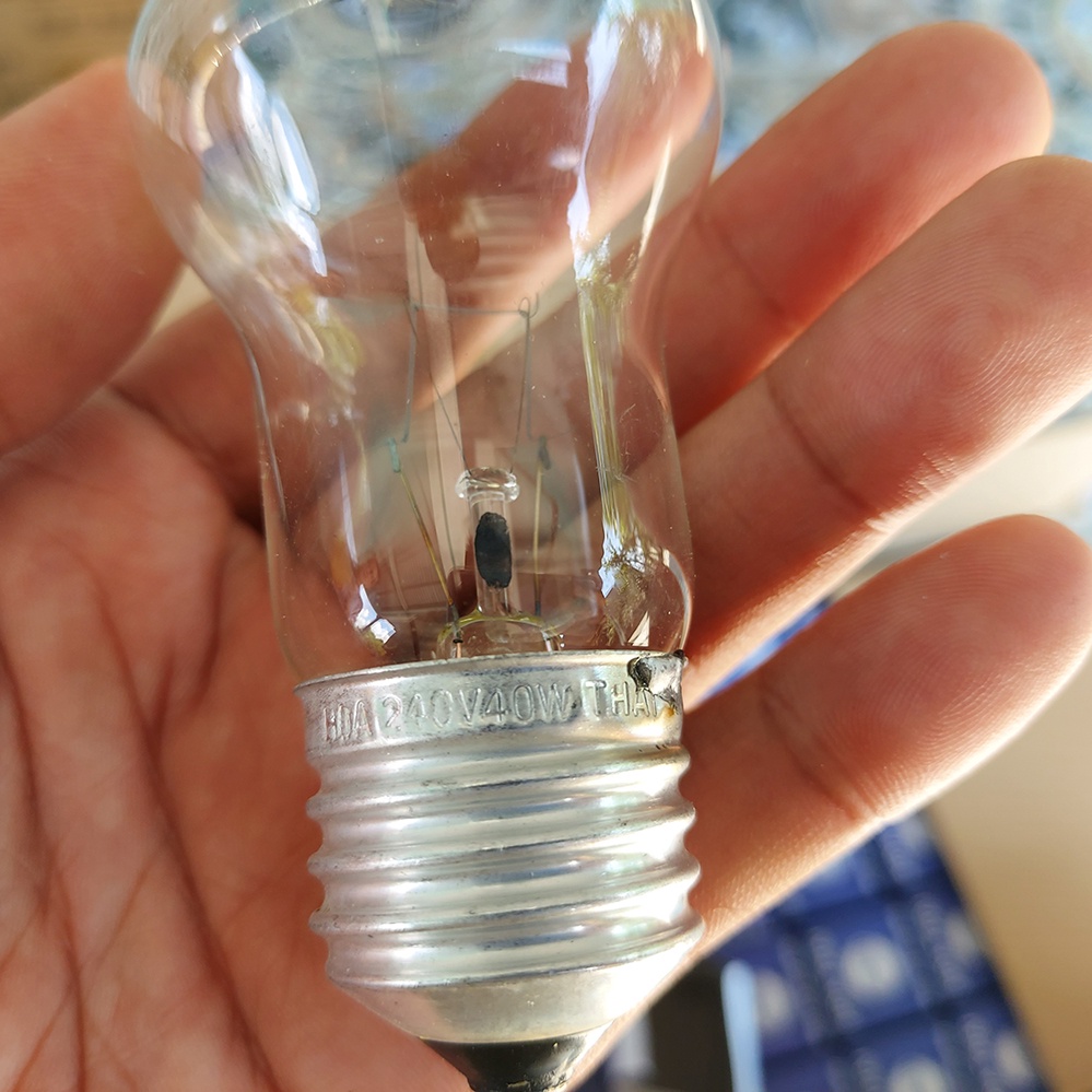 Combo 5 Bóng đèn sợi đốt 220v 40w trắng trong chuyên ấp trứng