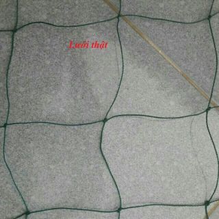 Lưới trồng cây (dây leo dàn)