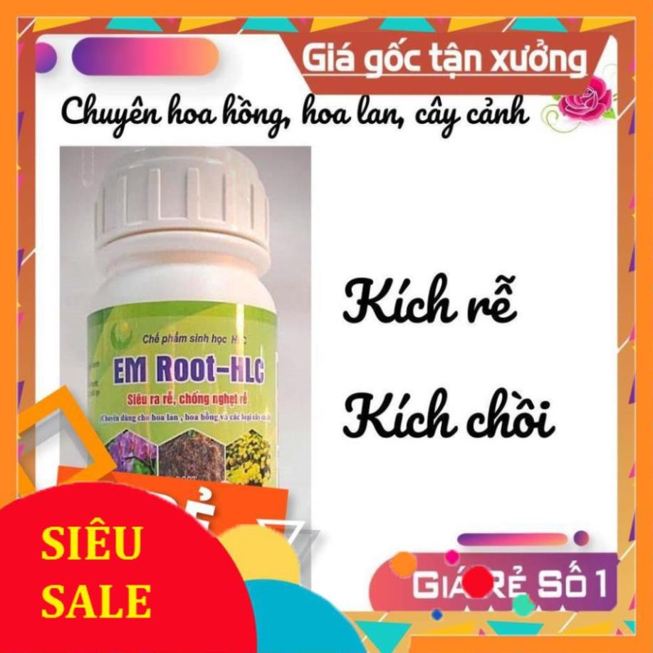 EM ROOT HLC chuyên Kích Rễ cho Hoa Hồng, Phong Lan, Cây Cảnh giúp ra rễ, kích chồi cực mạnh, hạn chế vàng lá - 250ml