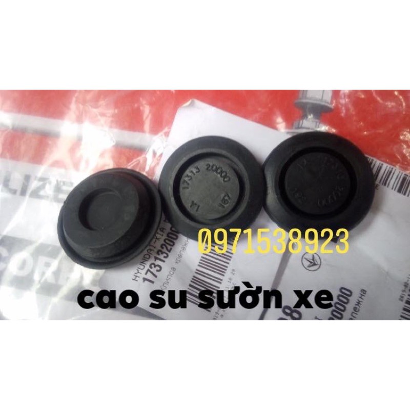 Cao su sườn xe hốc lốp 1731325000 1731330000 1731320000 1731335000