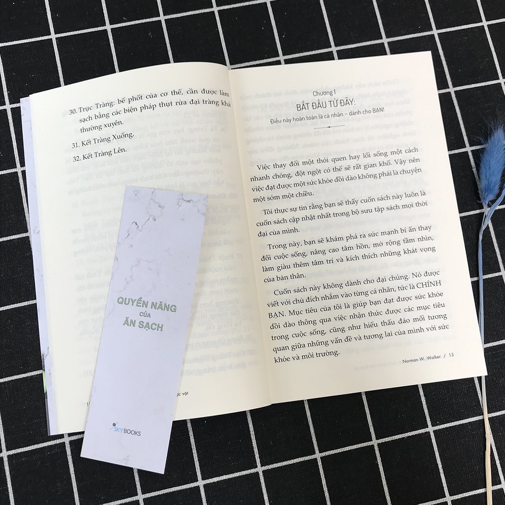 Sách - Raw Vegan – Sức Mạnh Chữa Lành Của Thực Vật (Kèm bookmark) | BigBuy360 - bigbuy360.vn