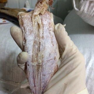 0,5kg mực khô