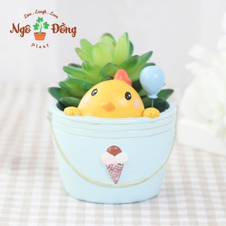 Chậu Cây Hoa Cảnh Để Bàn Trồng Sen Đá Xương Rồng Hình Gà Con Núp Trong Xô Nước Trang Trí Nhà Cửa Văn Phòng
