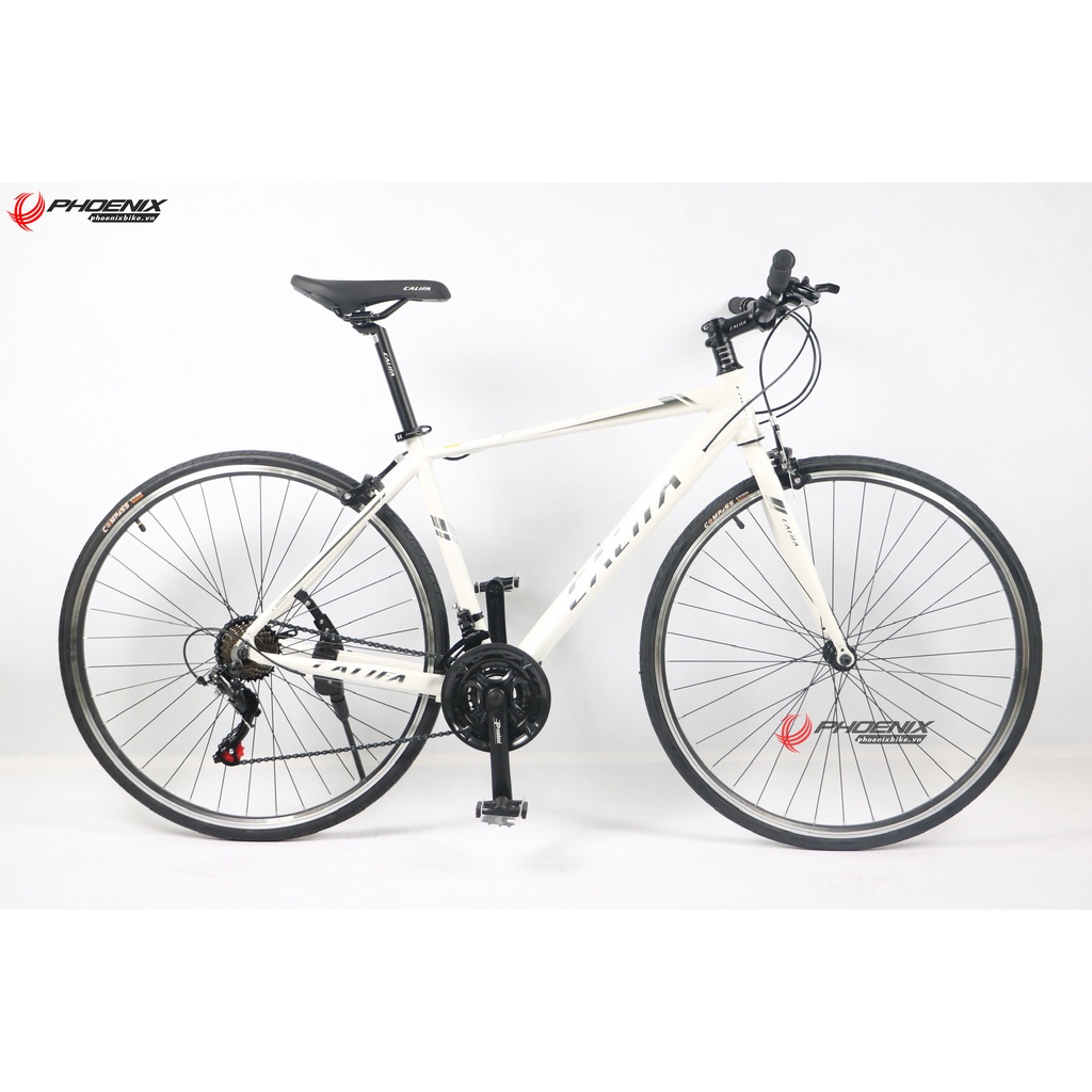 Xe đạp đường trường 700C Califa Louis 200