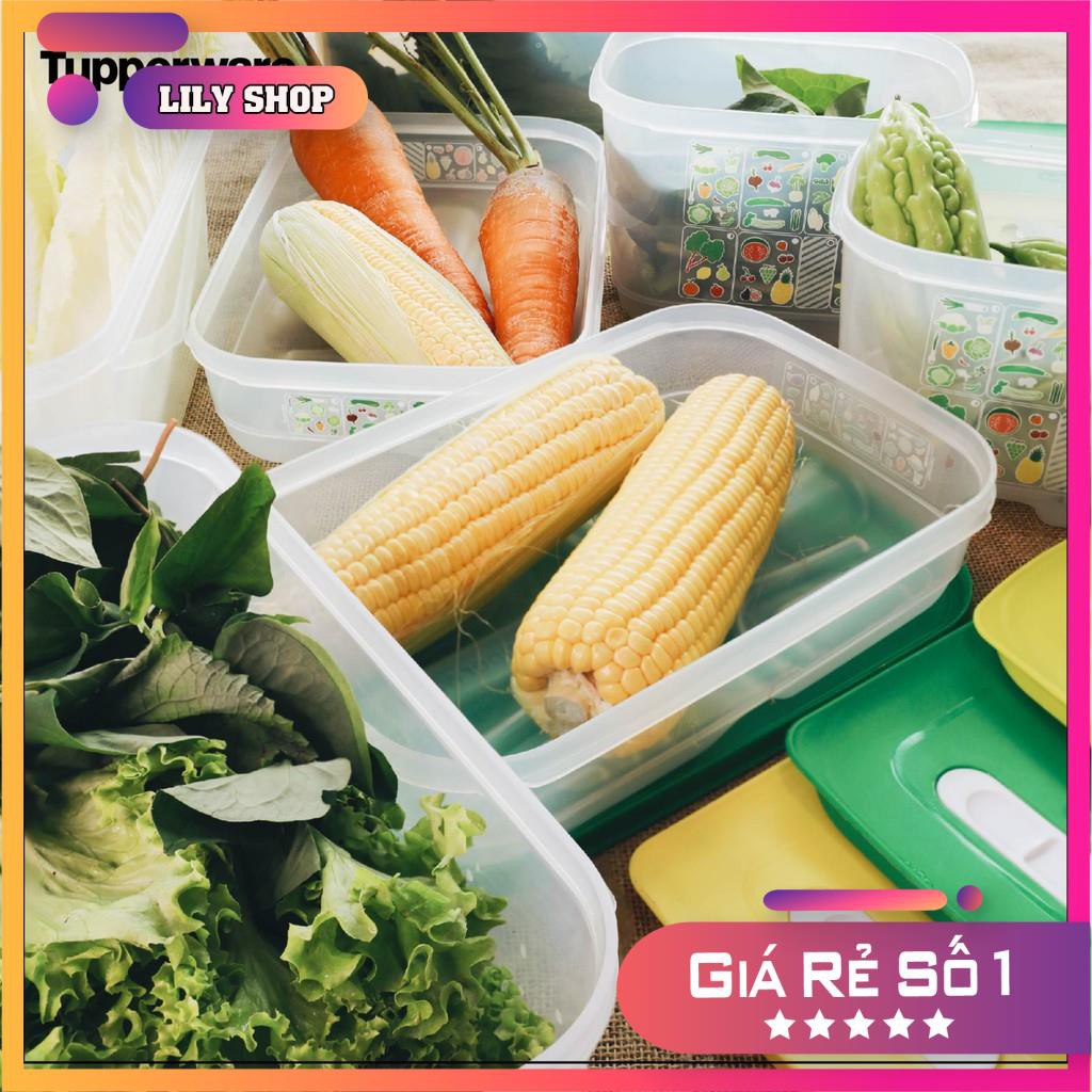 💥 GIẢM GIÁ GỐC 💥Hộp trữ mát Vensmart 1.8L thấp Tupperware🧡 FREESHIP 🧡