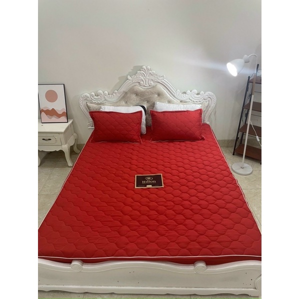 XẢ HÀNG SÉT COTTONG ĐŨI CHUN TRẦN 1 MÀU TẶNG KÈM 2 VỎ GỐI- - loại 1