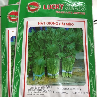 Hạt giống cải mèo 20 gr ☘️