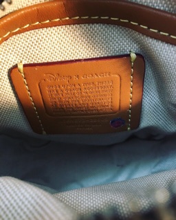🆘RẺ VÔ ĐỊCH🆘Túi Coach Dylan x Disney 2018