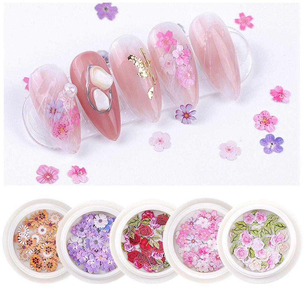 Hộp Kim Tuyến 3D Siêu Mỏng Hình Hoa Cúc / Bột Gỗ Lấp Lánh Trang Trí Móng Nghệ Thuật SOFTNESS