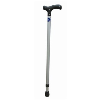 Gậy Inox 1 chân