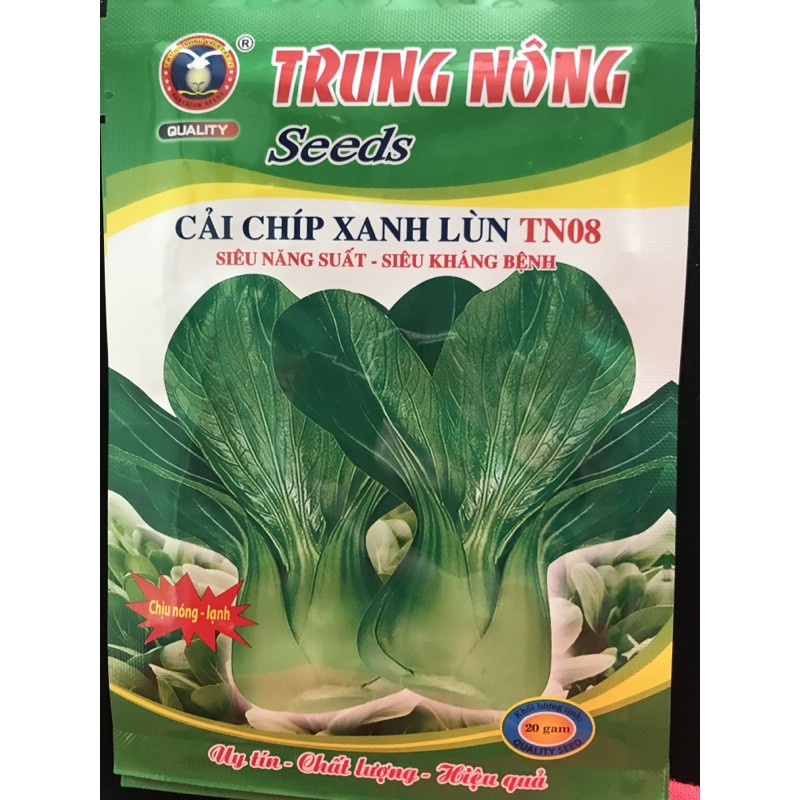 Cải chip lùn