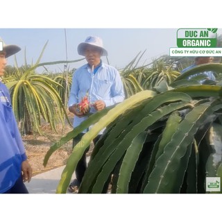 Phân hữu cơ DUCANORGANIC can tưới gốc 5lit