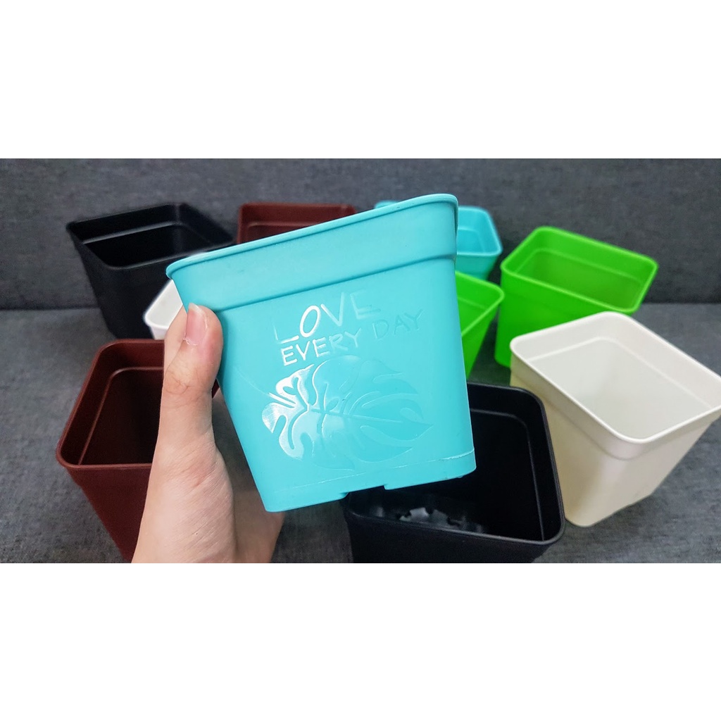 Chậu Vuông Trồng Sen Đá 11cm Nhiều Màu.