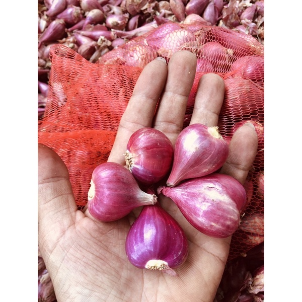 hành tím / hành tím lý sơn / hành tím vĩnh châu 1kg