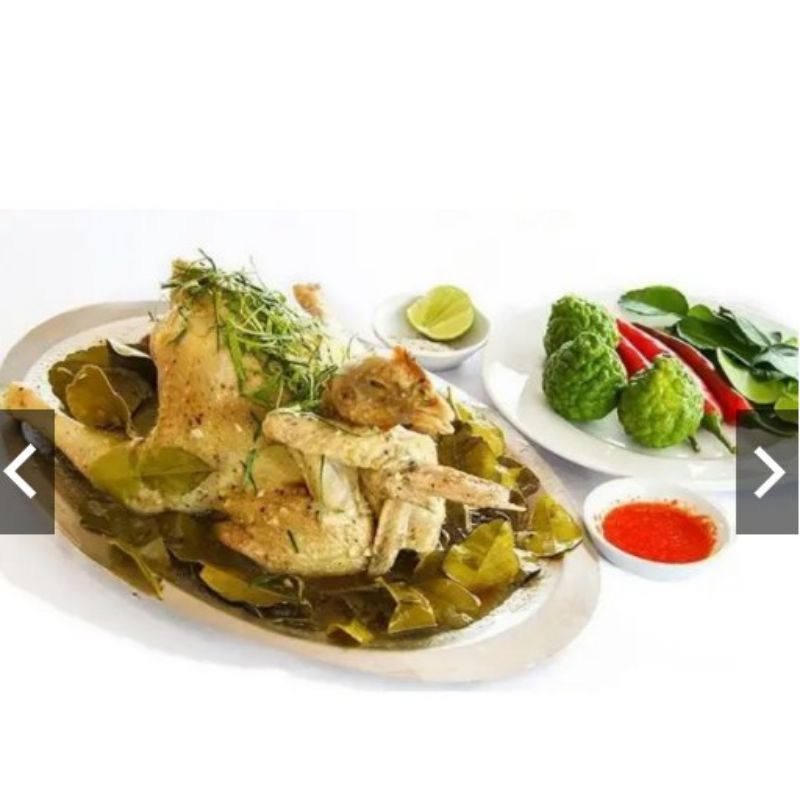 Cây Chúc,Chanh Chúc, Chanh thái