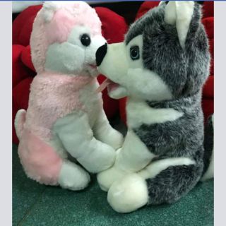 Gấu chó của Lê Hùng