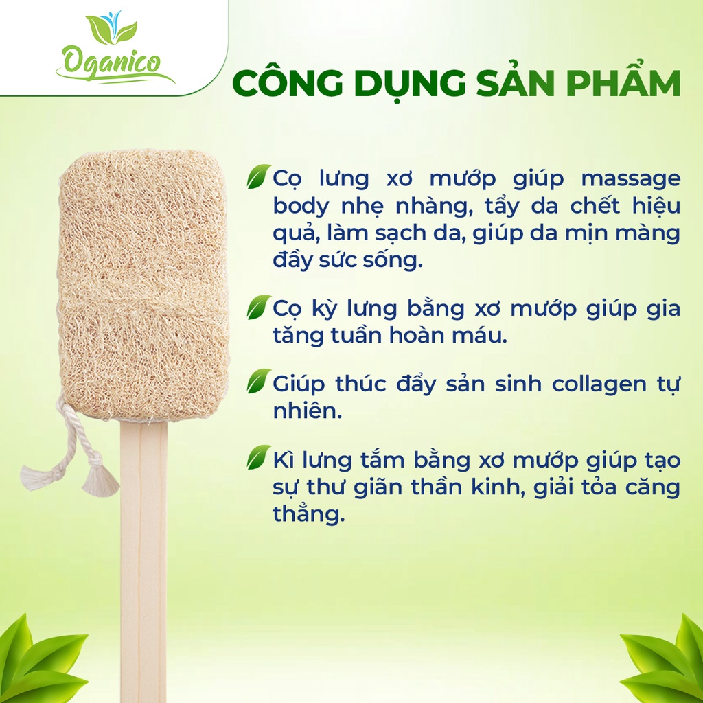 Cây chà lưng xơ mướp handmade tắm, tẩy tế bào chết, massage body - Oganico