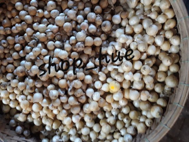 Hành tăm(Ném sạch) 100% nhà trồng 1kg