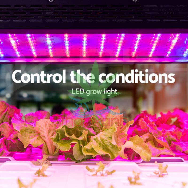 Đèn Led trồng cây, đèn trồng cây trong nhà (GL-1200W)