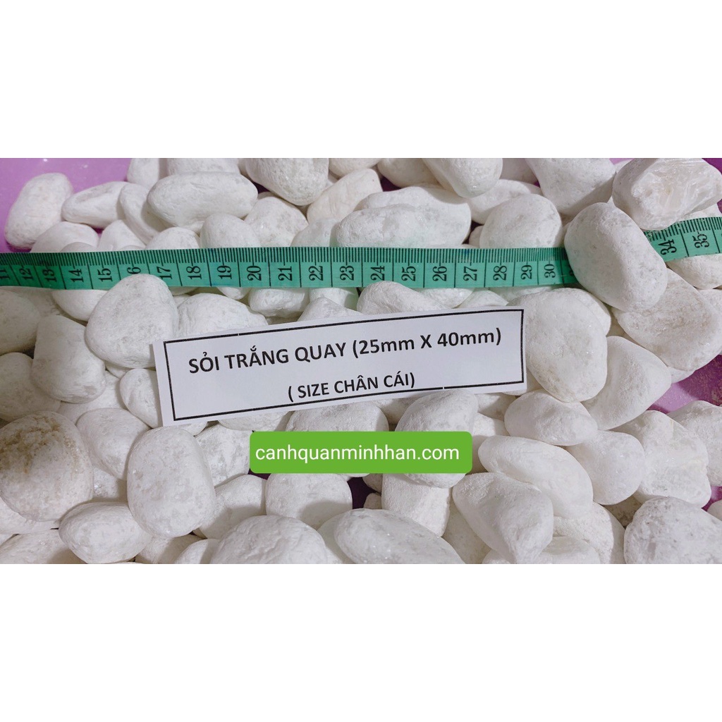 Sỏi trắng tiểu cảnh trang trí bể cá hồ cá trang trí chậu cây lót đường đi 1kg Minh Hân Garden