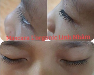 Mascara collagen L'organic Beauty