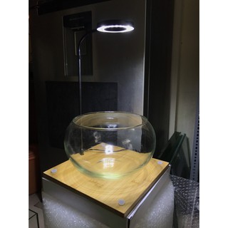ĐÈN LED ĐẾ GỖ SANG TRỌNG