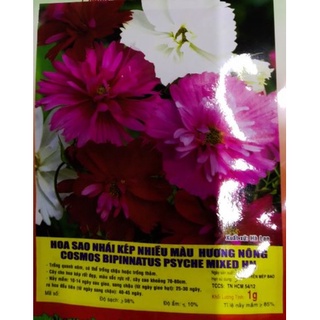 TRIMIX DT HYDROPONIC 100ml - Dung dịch thủy canh cây kiểng169