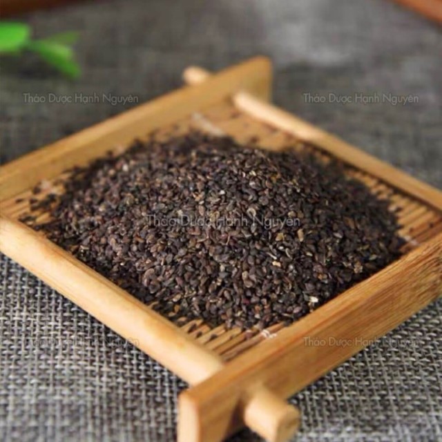 Xa tiền tử 1kg (Sa tiền tử,hạt mã đề) - Thảo Dược Hạnh Nguyên