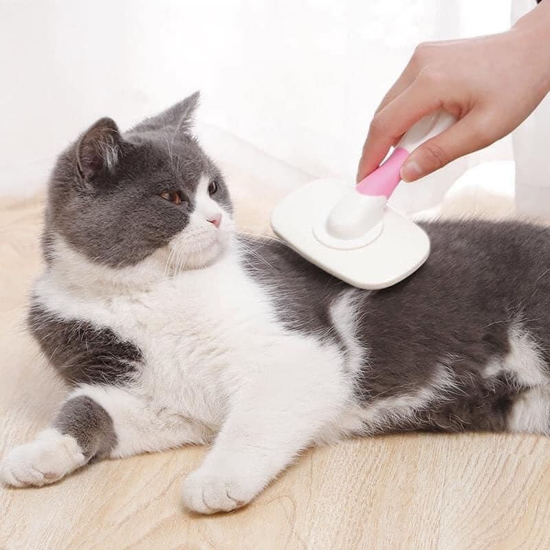 Lược chải xù, gỡ rối lông cho chó mèo Peto