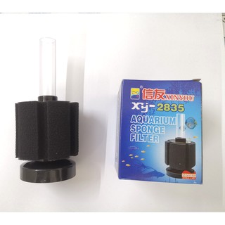Lọc Bio mini kiêm đầu sủi oxi cho bể cá nhỏ nuôi cá bột