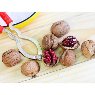 500g Óc chó đỏ Mỹ - kiwikiwi