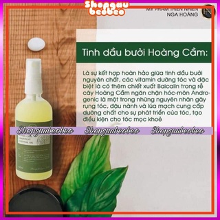 TINH DẦU BƯỞI NGA HOÀNG 2021- TINH DẦU BƯỞI HOÀNG CẦM- xịt tóc tinh dầu bưởi nga hoàng