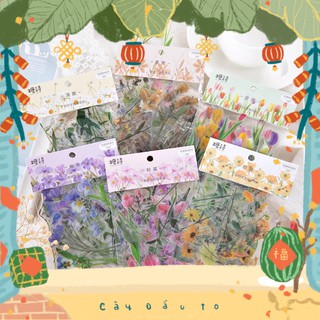 Bộ 40 Hình Dán Chủ Đề Hoa Cỏ Thiên Nhiên Flower Ware Pet Sticker