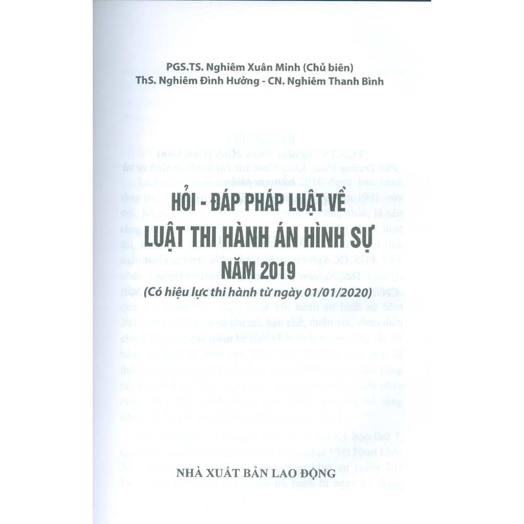 Sách - Hỏi đáp pháp luật về luật thi hành án hình sự năm 2019 | BigBuy360 - bigbuy360.vn